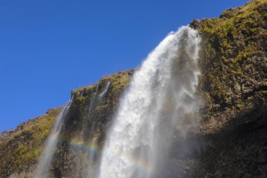 Muhteşem Seljalandsfoss şelale Güney İzlanda '. Şelale ve 60 metre damla Seljalands nehir parçası.
