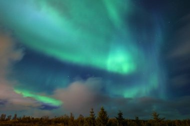 Reykjavik, İzlanda - 9th Ekim 2018: Reykjavik İzlanda'nın her bir görünümünü çarpıcı Aurora Borealis, olarak da bilinen Kuzey ışıkları, bakıldığında. 