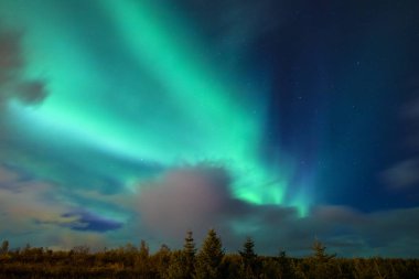 Reykjavik İzlanda'nın her bir görünümünü çarpıcı Aurora Borealis, olarak da bilinen Kuzey ışıkları, bakıldığında. 