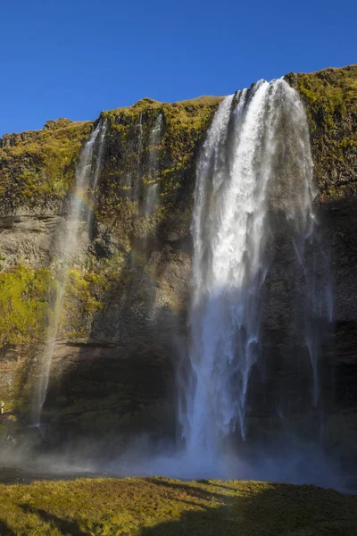 Чудовий Водоспад Seljalandsfoss Півдні Ісландії Водоспад Падає Метрів Частиною Seljalands — стокове фото