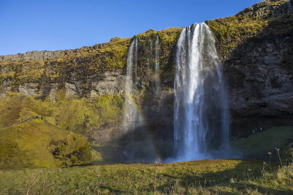 Der Prachtvolle Seljalandsfoss Wasserfall Südlichen Island Der Wasserfall Fällt Meter — Stockfoto