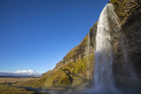 Чудовий Водоспад Seljalandsfoss Півдні Ісландії Водоспад Падає Метрів Частиною Seljalands — стокове фото