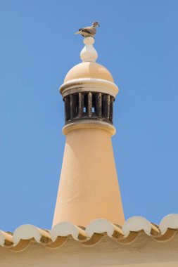 Bir Lagos - Portekiz Algarve bölgesinin geleneksel bacaları üzerinde tünemiş bir güvercin.