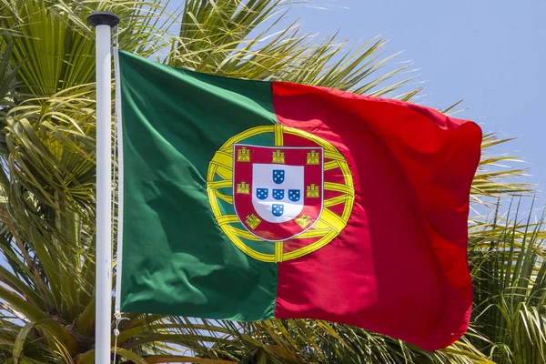 Vlag Van Portugal — Stockfoto