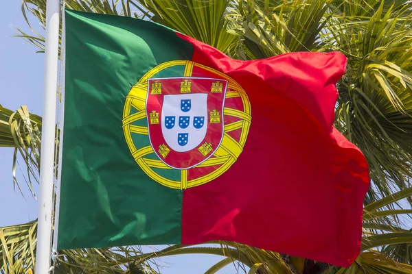 Vlag Van Portugal — Stockfoto