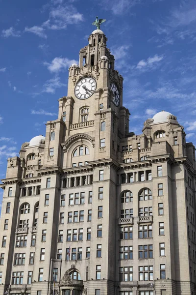 Вид Историческое Здание Royal Liver Building Город Ливерпуль Великобритания — стоковое фото