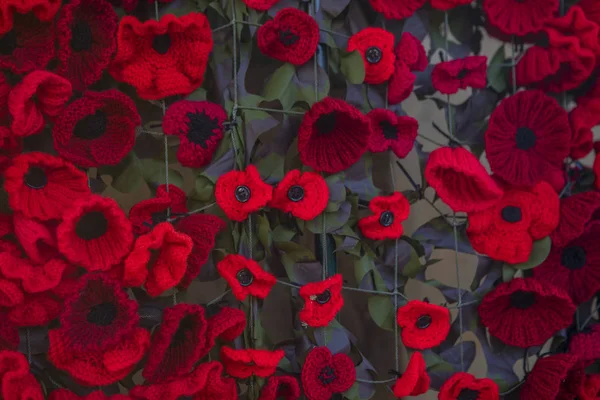 Närbild Stickade Poppies Att Fira Årsdagen Vapenstilleståndet Storbritannien — Stockfoto