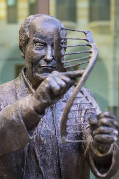 Northampton Reino Unido Noviembre 2018 Estatua Del Famoso Biólogo Molecular — Foto de Stock