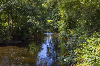 Blarney, İrlanda - 16 Ağustos 2018: Blarney Castle İrlanda Cumhuriyeti güzel bahçeleri ile çalışır nehir görünümü. 