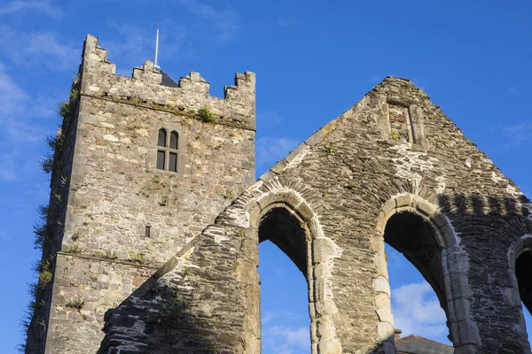 프랑스 일컬어 Greyfriars 수도원 워터의 역사적인 도시에서 아일랜드 공화국의 — 스톡 사진
