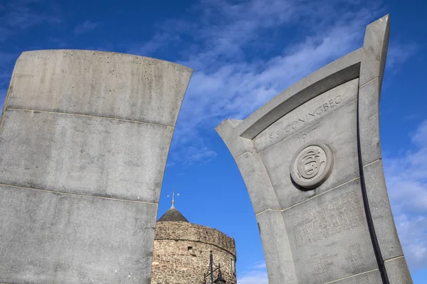 Waterford Irlandia 2018 Sierpnia Pomnik Mieście Waterford Irlandia Poświęcony Coningbeg — Zdjęcie stockowe