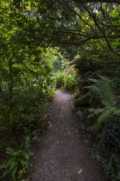 Blarney Irland Augusti 16Th 2018 Vackra Trädgårdarna Den Historiska Blarney — Stockfoto