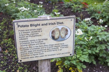 County Kerry, İrlanda - 17th Ağustos 2018: patates yıkım ve Kerry bataklık Köy Müzesi County Kerry, İrlanda Cumhuriyeti'nde İrlandalı diyet ile ilgili bilgi veren bir işaret. 