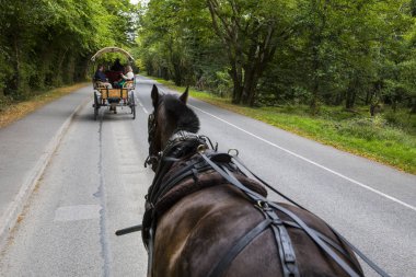 Killarney, İrlanda - 17th Ağustos 2018: şen Ride County Kerry, İrlanda üzerinden Killarney Milli Parkı. 