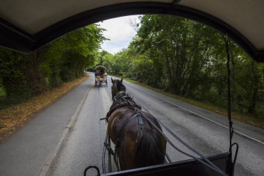 Killarney, İrlanda - 17th Ağustos 2018: şen Ride County Kerry, İrlanda üzerinden Killarney Milli Parkı. 