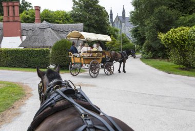 Killarney, İrlanda - 17th Ağustos 2018: şen Ride County Kerry, İrlanda üzerinden Killarney Milli Parkı. 
