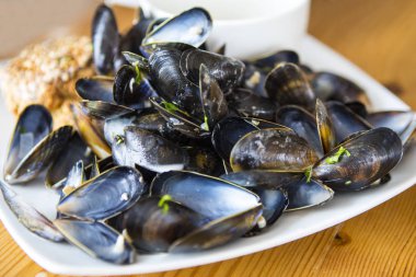 Bir tabak sadece yemiş boş midye kabukları. 