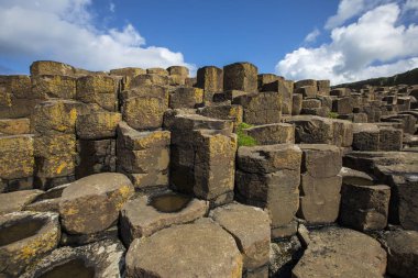 Kuzey İrlanda Giants Causeway adlı muhteşem doğal altıgen taş sütunlar bir görünümünü.