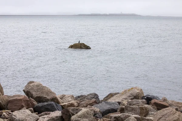 Una Vista Bahía Galway Costa Oeste Irlanda —  Fotos de Stock