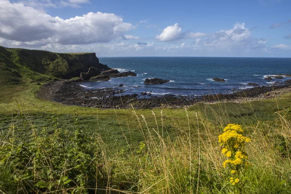 The beautiful landscape of the Causeway Coast of Northern Ireland, very near to the Giants Causeway.