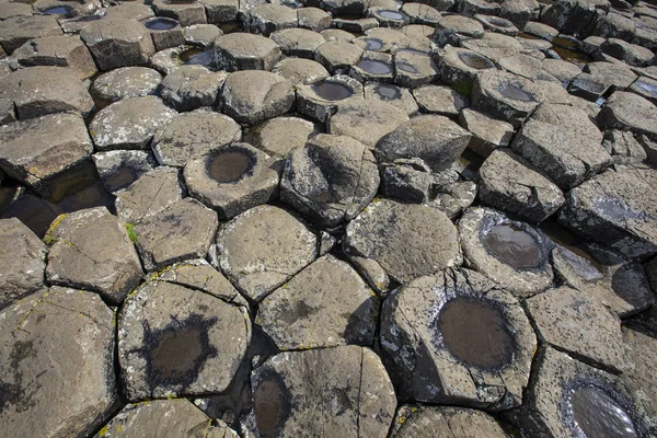 Ein Blick Auf Die Natürlichen Sechseckigen Steinsäulen Gigantischen Damm Nordirland — Stockfoto