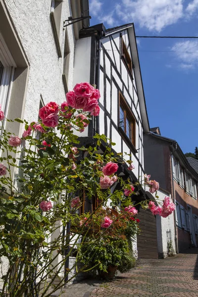 Piękne Róże Zewnątrz Budynku Ramą Czasomierza Malowniczej Miejscowości Linz Rhein — Zdjęcie stockowe