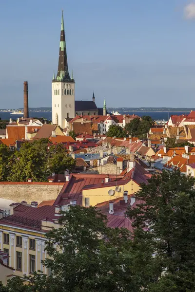 Wspaniałe Panoramiczne Widoki Wzgórza Toompea Patrząc Przez Starego Miasta Tallinie — Zdjęcie stockowe
