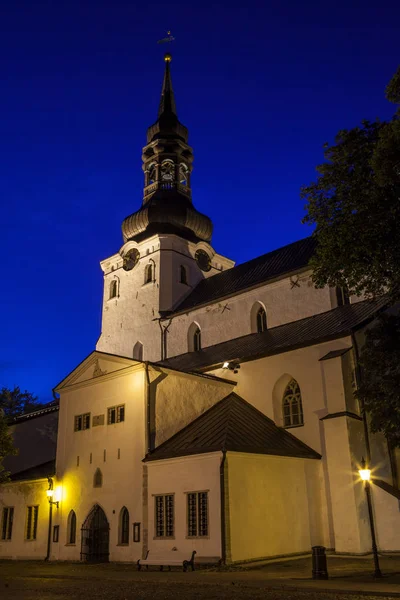 Tallinn Estónia Agosto 2011 Uma Vista Bela Catedral Marys Tallinn — Fotografia de Stock