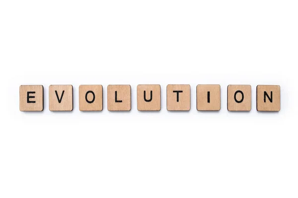 Le mot EVOLUTION — Photo