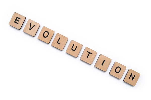 Das Wort Evolution — Stockfoto