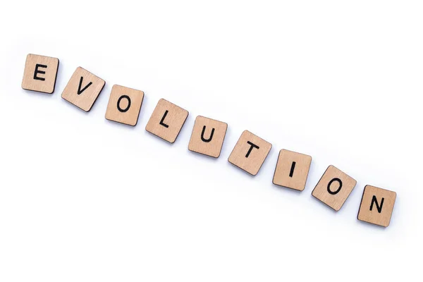 Ordet evolution — Stockfoto