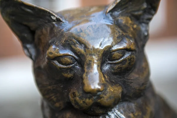 Hodge the Cat Statue in London — Stock Photo, Image