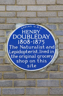 Epping Yılında Henry Doubleday Plak