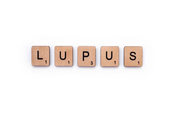 Słowo Lupus — Zdjęcie stockowe