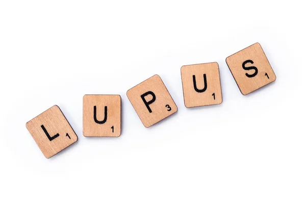 La parola LUPUS — Foto Stock