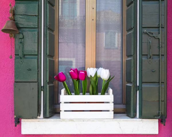 Window with Flowers in Burano — Zdjęcie stockowe