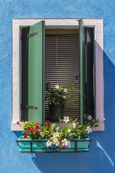 Window with Flowers in Burano — Zdjęcie stockowe