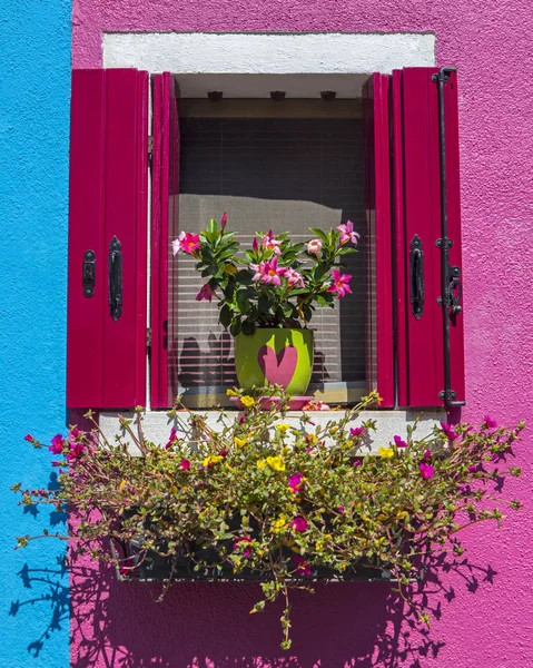 Venster met bloemen in Burano — Stockfoto