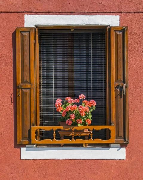 Ventana con Flores en Burano — Foto de Stock