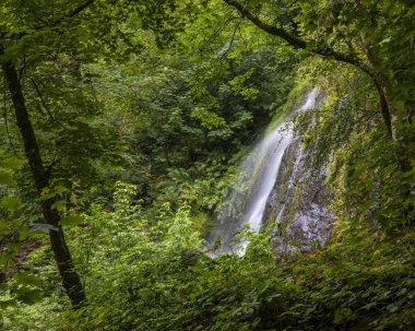 Lady Exmouth Şelalesi, Güney Devon