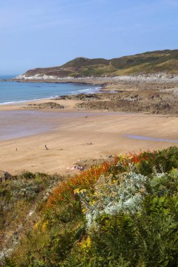 Kuzey Devon 'daki Barricane Plajı