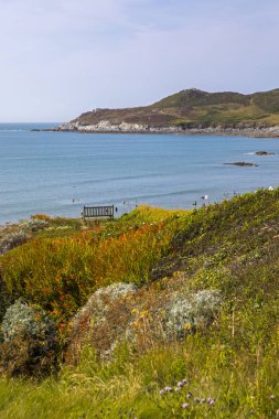 Kuzey Devon 'da Barricane Sahili yakınlarında.