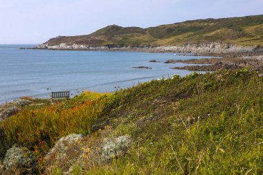 Kuzey Devon 'daki Barricane Plajı