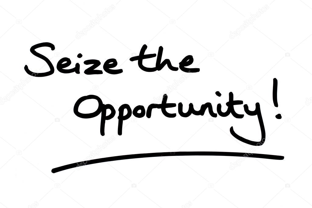 Seize the Opportunity! handwritten on a white background.