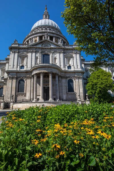 Londen Juni 2020 Zicht Historische Pauls Kathedraal Met Zomerbloemen Voorgrond — Stockfoto