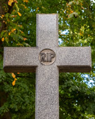 RIP, 