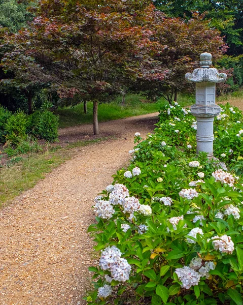 Dorset Royaume Uni Juillet 2020 Une Vue Dans Jardin Japonais — Photo
