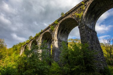 Güney Galler 'deki Taf Fechan nehri üzerinde uzanan tarihi Pontsarn Viaduct manzarası.
