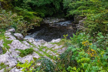 Güney Galler 'deki Brecon Beacons Ulusal Parkı' ndaki güzel Taf Fechan nehrinin manzarası..