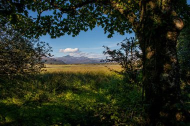 Kuzey Galler 'deki Traeth Glaslyn Doğa Rezervi' nden Snowdonia Ulusal Parkı 'nın çarpıcı manzarası.
